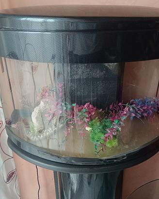 Acquario 60L