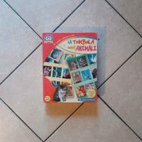 Tombola Degli Animali Sapientino