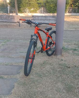wheelie bike nevada