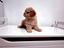 Immagine 25