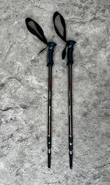 Bastoncini da trekking