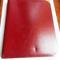 Album / raccoglitore foto vintage