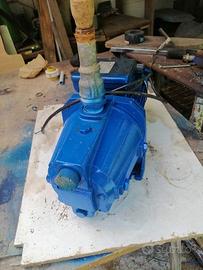 Pompa autoadescante