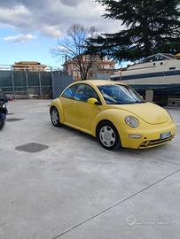 Beetle