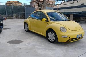 Beetle