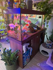 ACQUARIO JUWEL 450