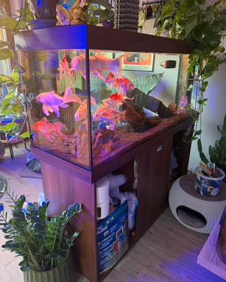ACQUARIO JUWEL 450