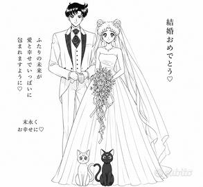 Settei sailor moon - usagi e mamoru