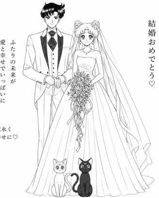 Settei sailor moon - usagi e mamoru