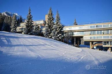 Marilleva Appartamento 4 posti letto