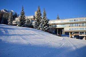 Marilleva Appartamento 4 posti letto