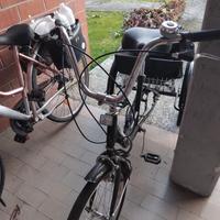 bicicletta a 3 ruote