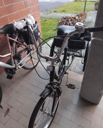 bicicletta a 3 ruote