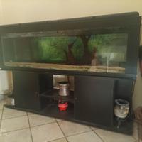 Acquario 600 litri 200x50x60 cm completo+filtro