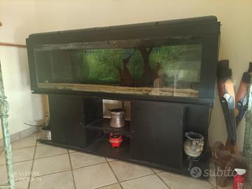Acquario 600 litri 200x50x60 cm completo+filtro