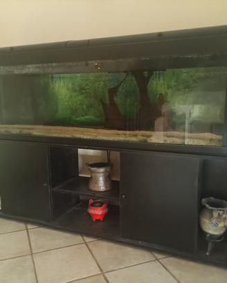 Acquario 600 litri 200x50x60 cm completo+filtro