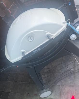 Griglia weber