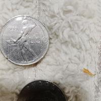 moneta italiana 50 lire anni 1955 rara