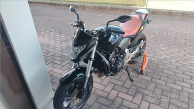 Honda hornet