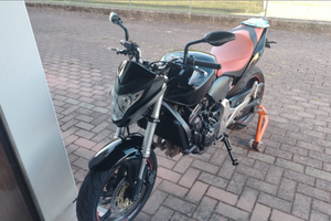 Honda hornet