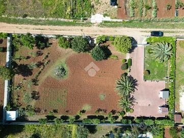 TER. AGRICOLO A POLIGNANO A MARE