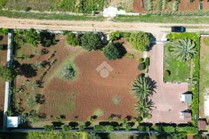 TER. AGRICOLO A POLIGNANO A MARE