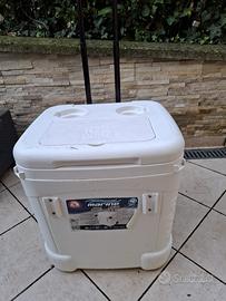 Congelatore portatile