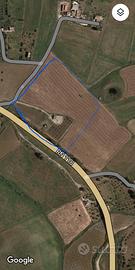 Terreno Con Fabbricato