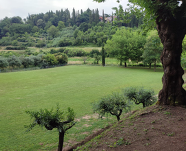 Terreno attrezzato per feste