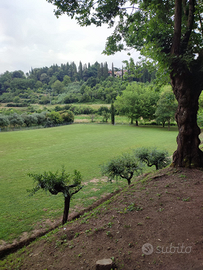 Terreno attrezzato per feste