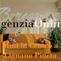 Mini in centro a Pineta