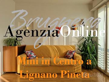 Mini in centro a Pineta