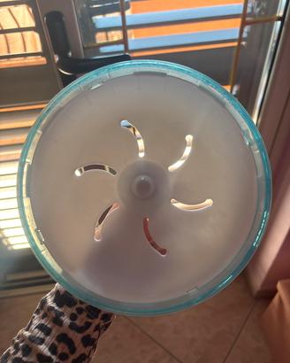 Ruota per criceto