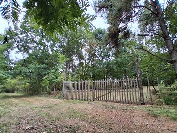 Terreno boschivo 6.500 mq recintato 