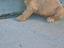 Immagine 5