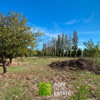 Terreno 5.000 mq vicino al mare