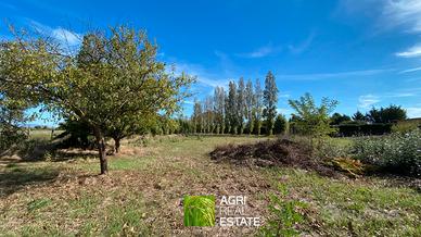 Sabotino (LT) - Terreno 5.000 mq vicino al mare