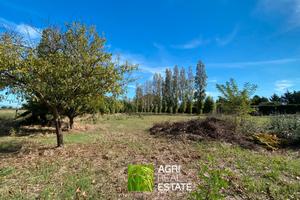 Terreno 5.000 mq vicino al mare