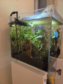 Acquario 30 litri Newa con mobile