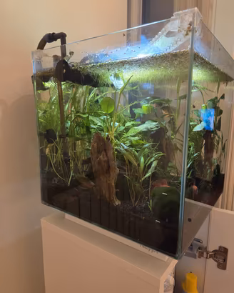 Acquario 30 litri Newa con mobile