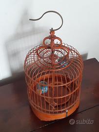 Gabbia uccellini