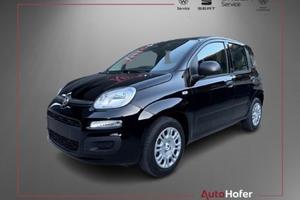 FIAT Panda 1.0 FireFly S&S Hybrid Radio Clima 5P *