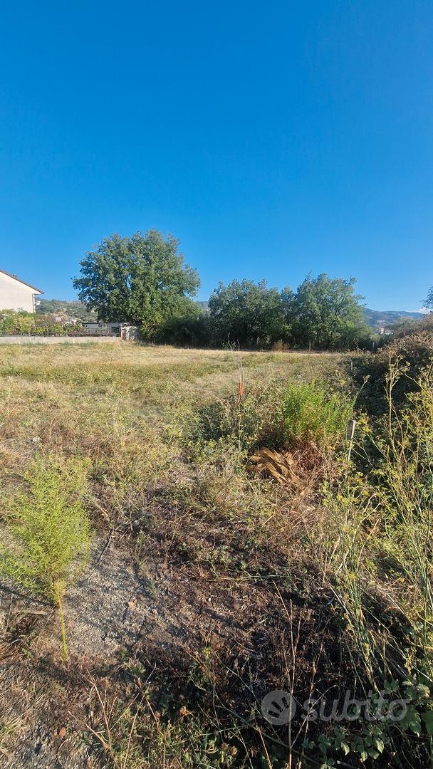terreno edificabile Bisignano 'campo sportivo' - Vista 5