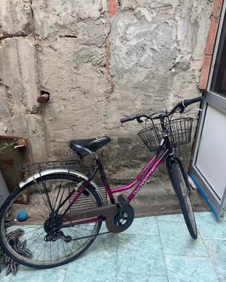 Bici da donna