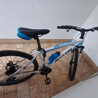Bicistar Bike
