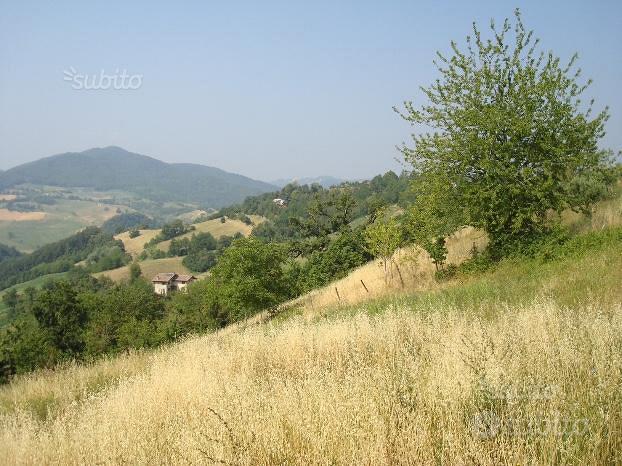 Terreno edificabile panoramico Regnano - Vista 6