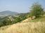 Immagine 6