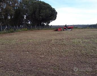 Terreno agricolo seminativo