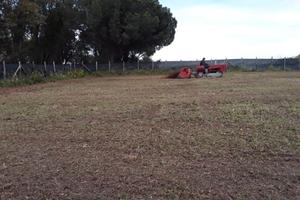 Terreno agricolo seminativo