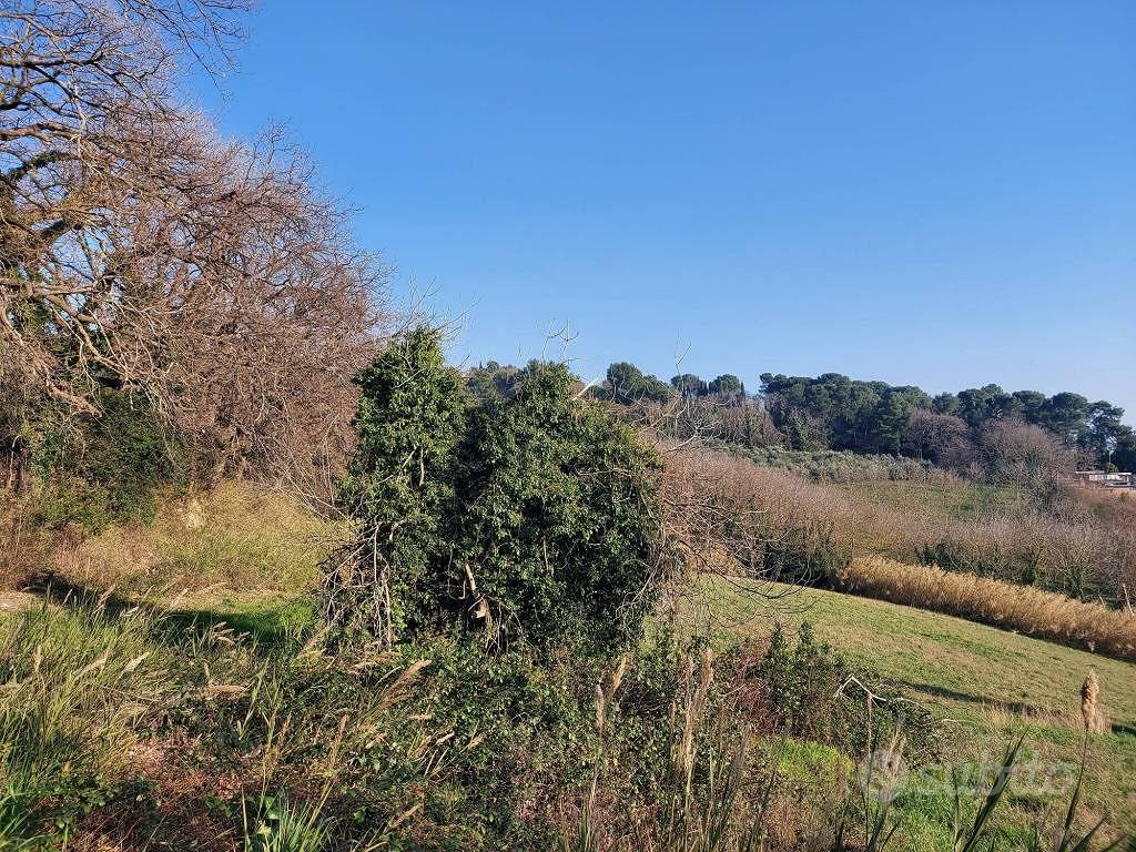 Rustico / Casale di 425 m² con più di 5 locali e b - Vista 6